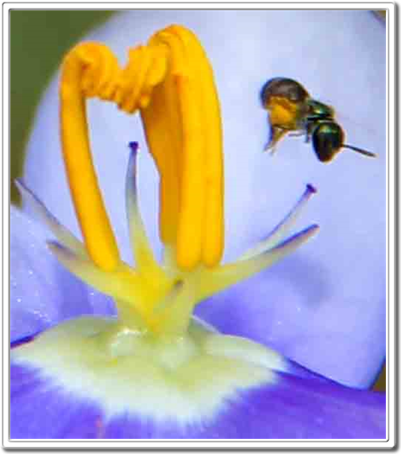 Austin Art Prints For Sale