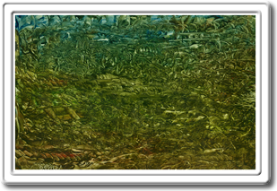 Austin Fine Art For Sale